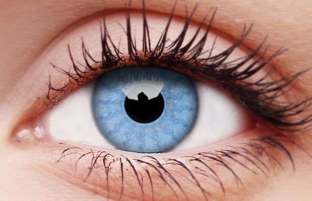 Contact Lens - 12 Months - Jokers Costume Mega Store