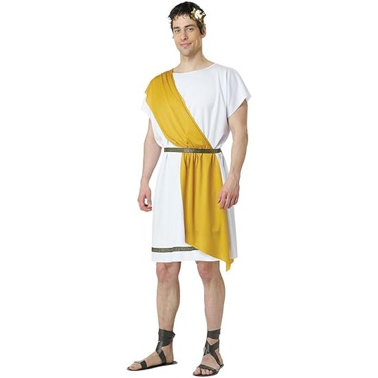 Party Toga Adult Costume