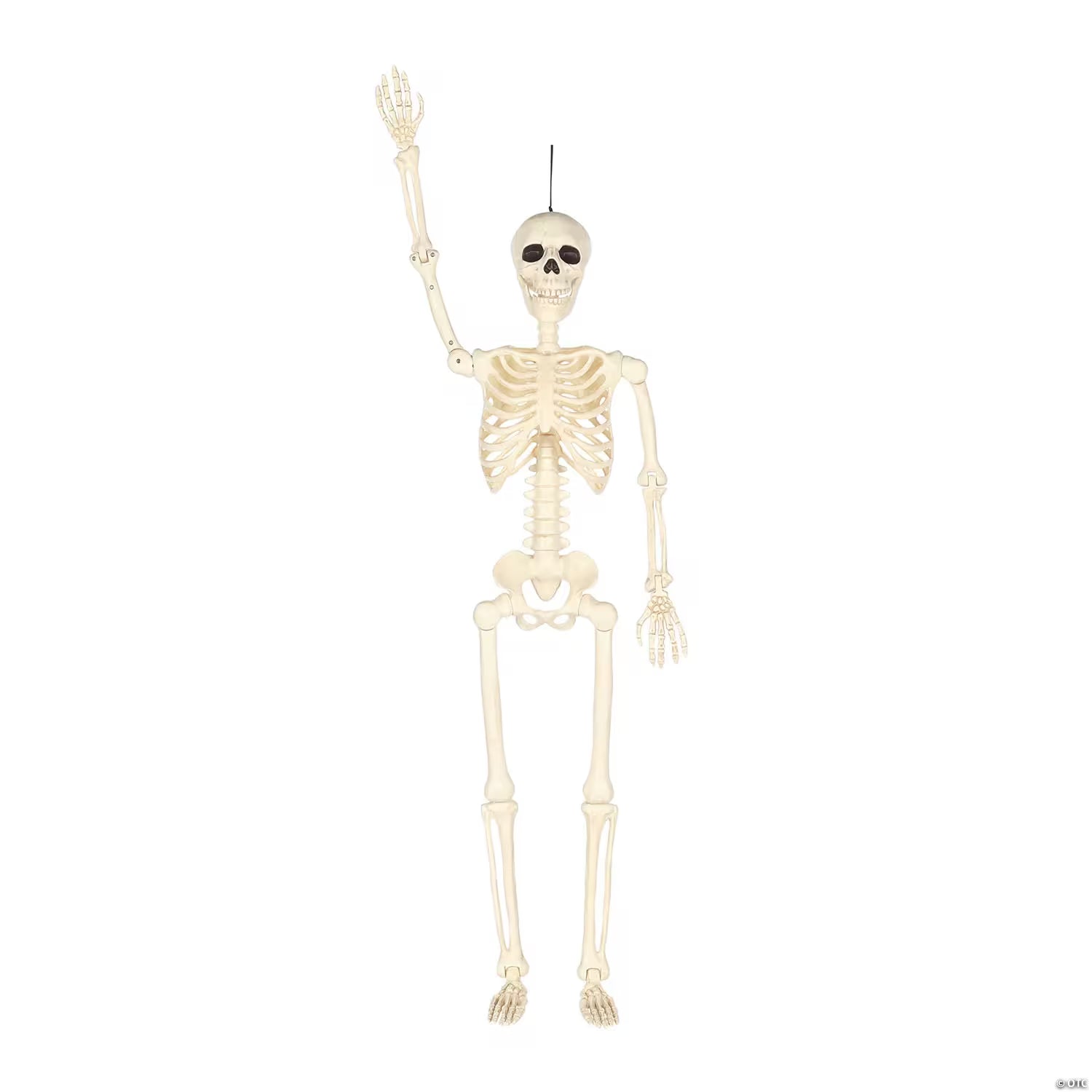 5 Ft. Hanging Multi Pose-N-Stay Life-Size Skeleton Halloween Decoration