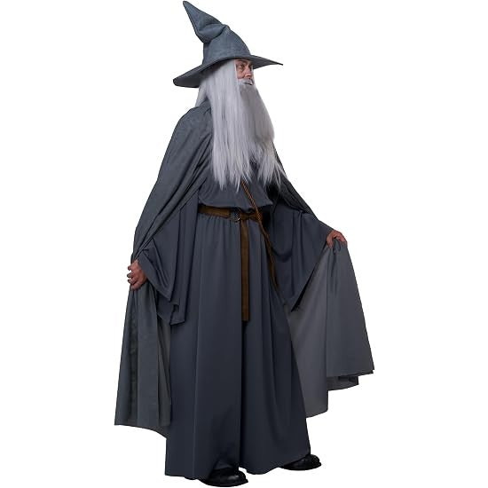 Wandering Wizard Grey Adult Men's Costume
