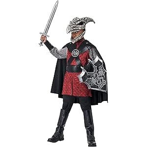 Dragon Knight Boys Costume