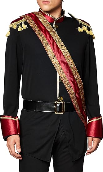 Dark Prince Charming Men's Costume