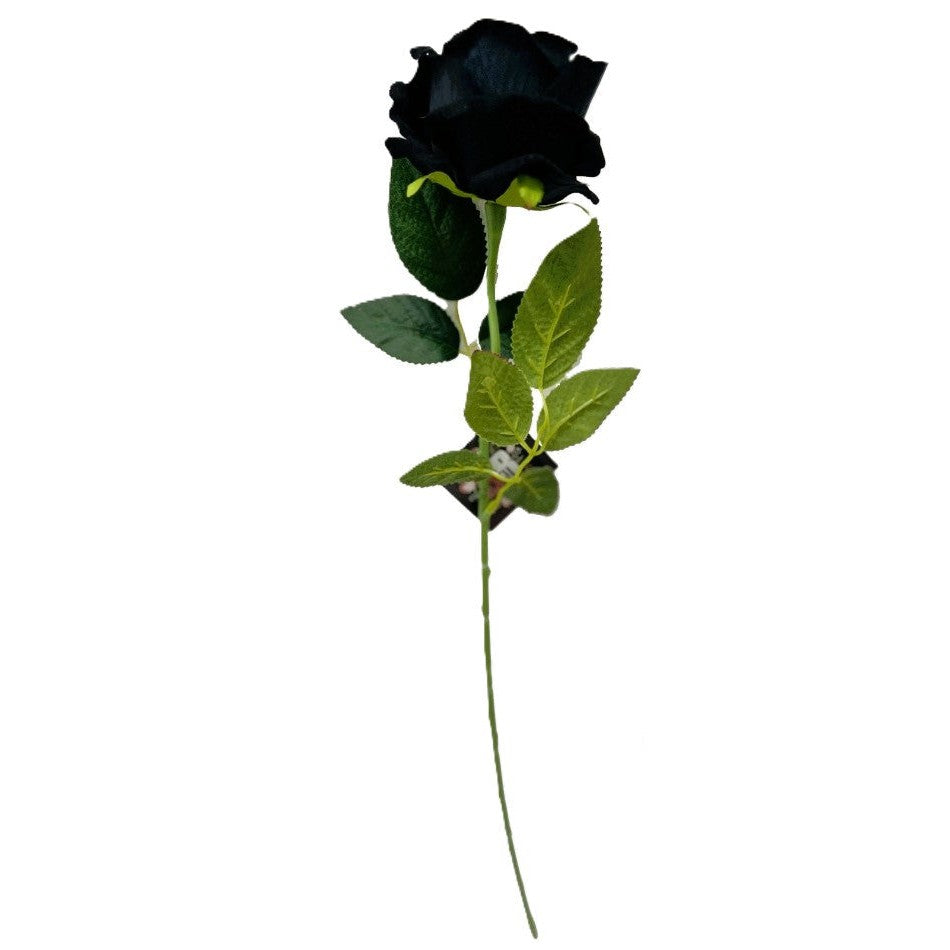 Black Diamond Velvet Single Stem Rose