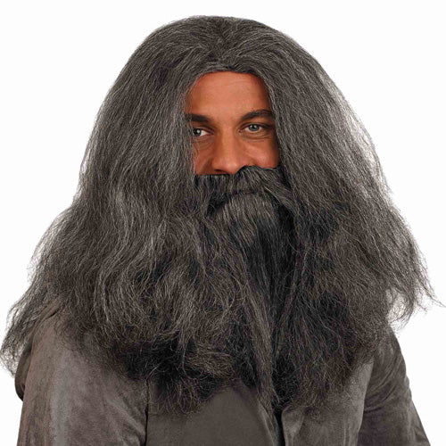 Wizard Wig and Beard