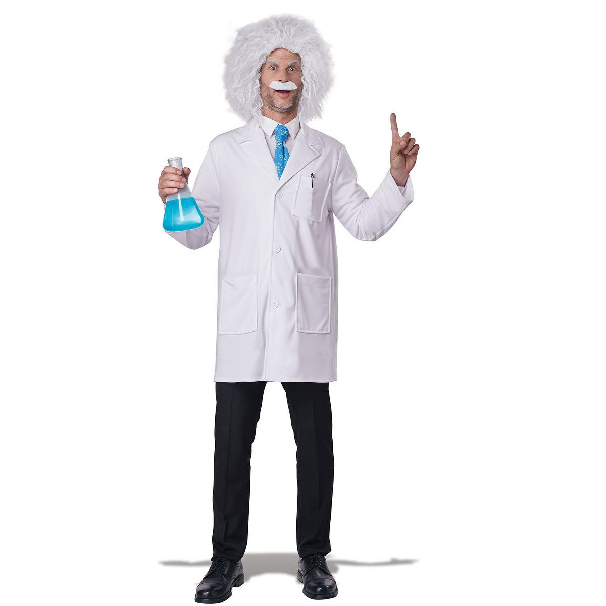 World Famous Physicist Adult Costume