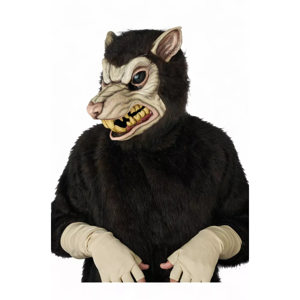 Giant Rat, Adult
