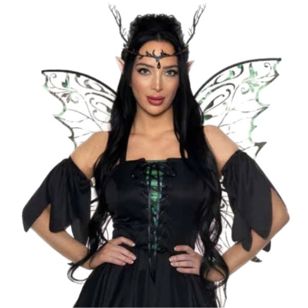 Dark Fairy Women's Costume