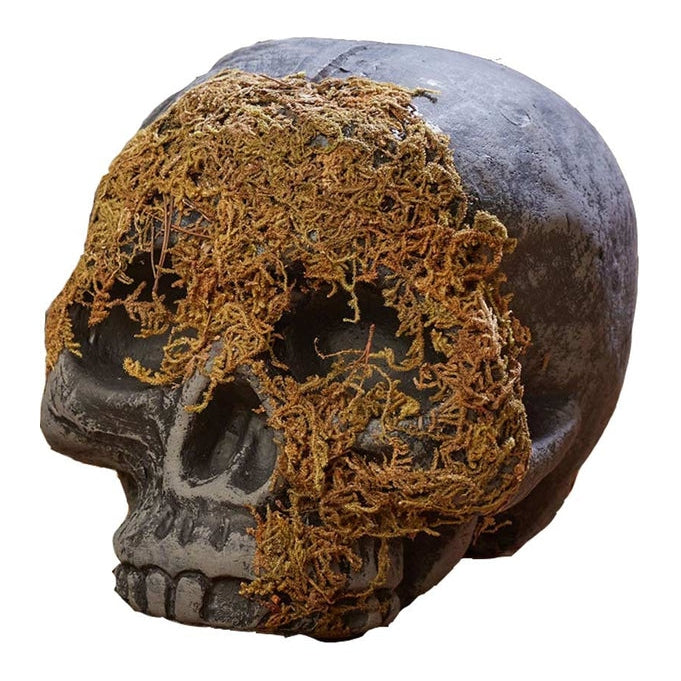 Realistic human skull replica with green moss covering