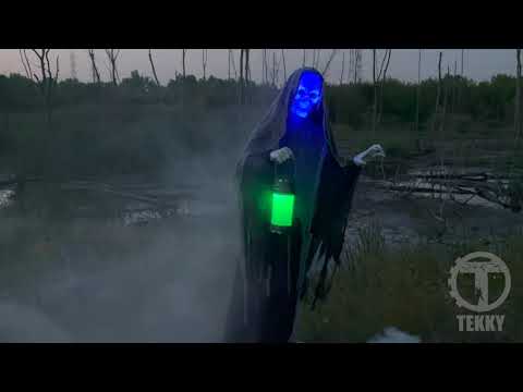 Load video: Animated Ghost Reaper