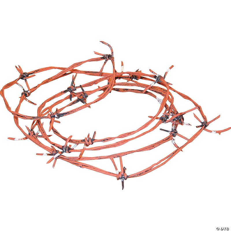 Rusty barbed wire with sharp metal spikes, a security deterrent
