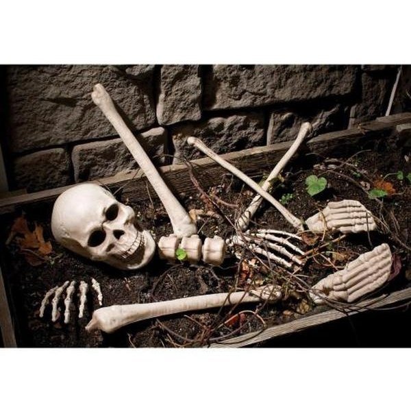 Bag O’ Bones 10 Piece - Jokers Costume Mega Store