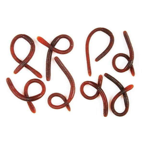 Bag O’bugs Assortment - Jokers Costume Mega Store
