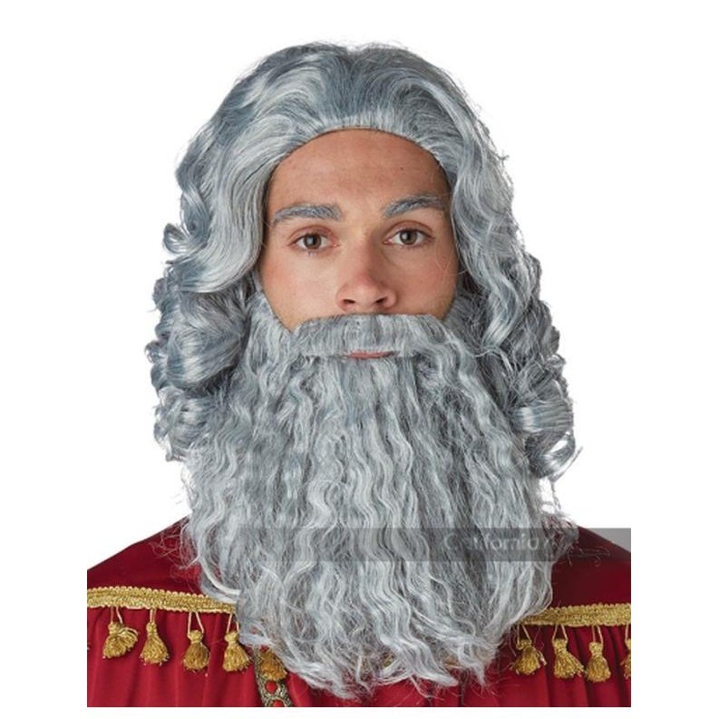 Biblical King Grey Wig And Beard Set Adult Size For Plays Jokers Costume Mega Store