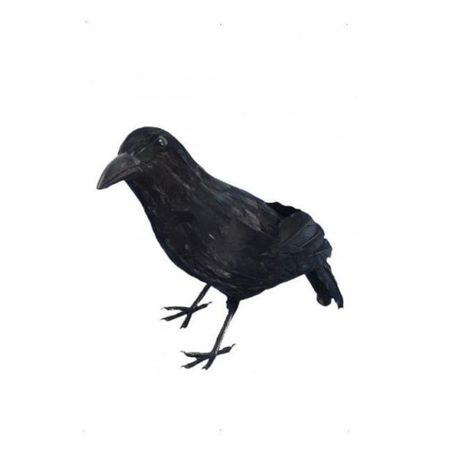 Black Feathered Crow - Jokers Costume Mega Store