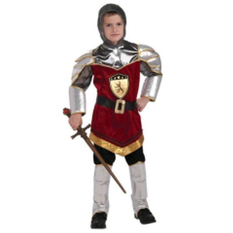 Dragon Slayer Costume Size M - Jokers Costume Mega Store