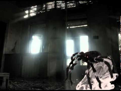 Load video: Jumping Spider Black