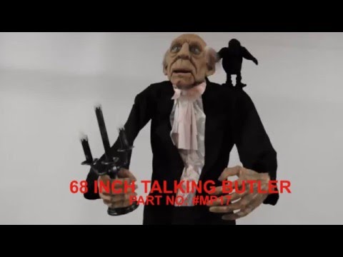 Load video: Butler Animated