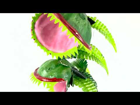 Load video: Chomper Flower