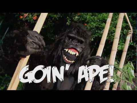 Load video: Goin' Ape Deluxe Animotion Moving Gorilla Mask