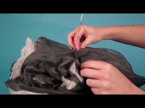 Load video: Jumping Spider Black