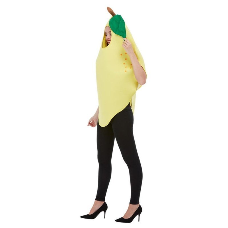 Lemon Costume - Jokers Costume Mega Store