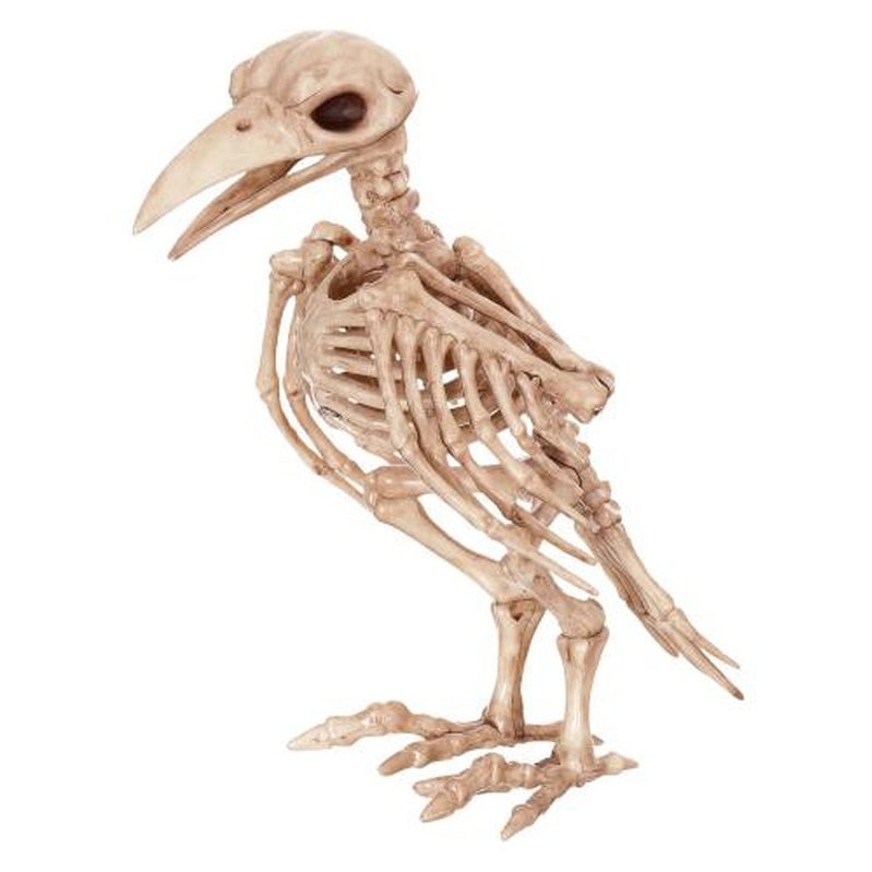 Skeleton Raven - Jokers Costume Mega Store