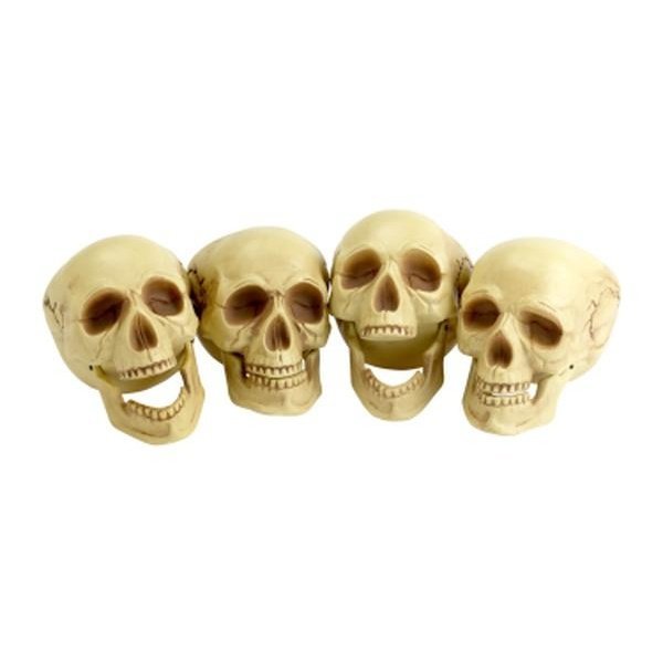 Skull Heads - Jokers Costume Mega Store