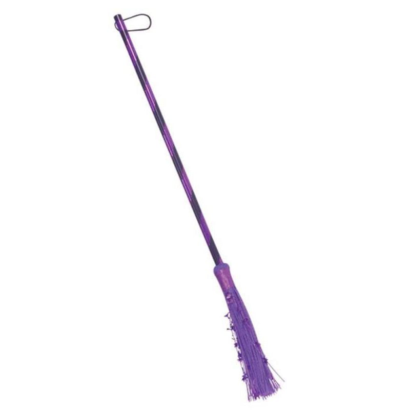 Witch Broom Purple Metallic - Jokers Costume Mega Store