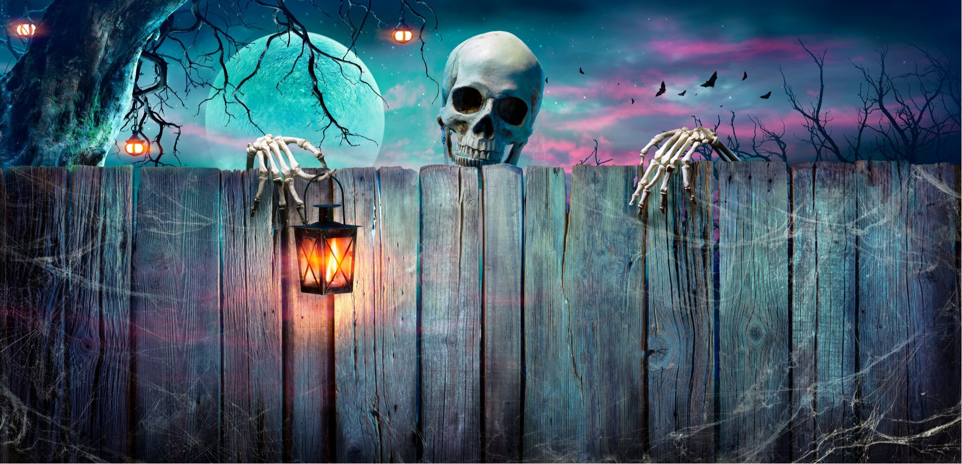 Skeletons - Jokers Costume Mega Store