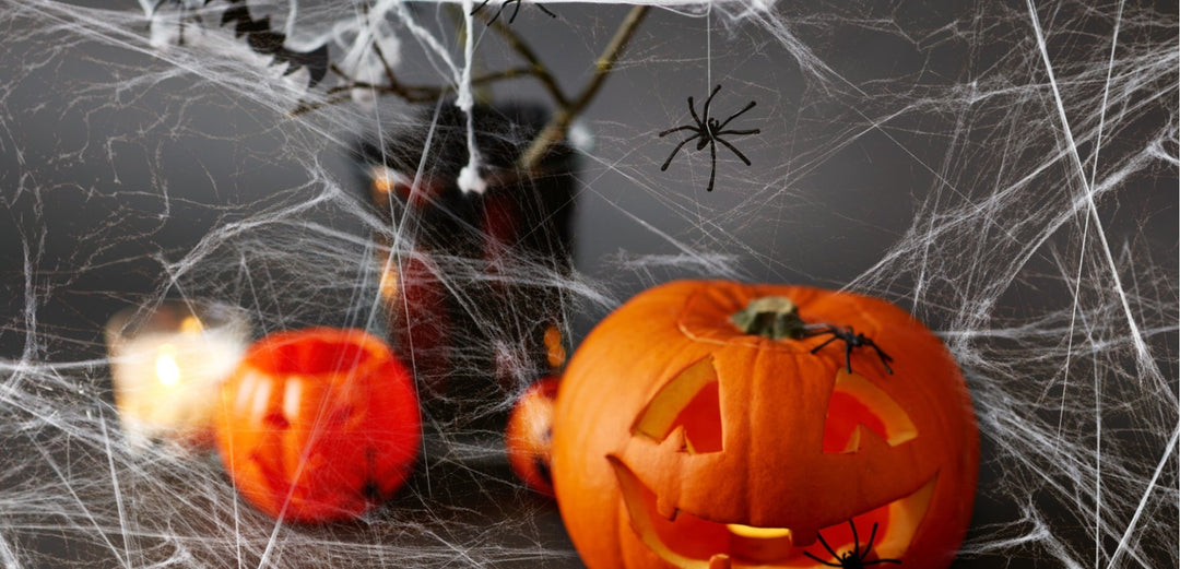 Spider Web - Jokers Costume Mega Store