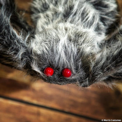 Giant Poseable Furry Black Foam Spider, 3.8 Metres