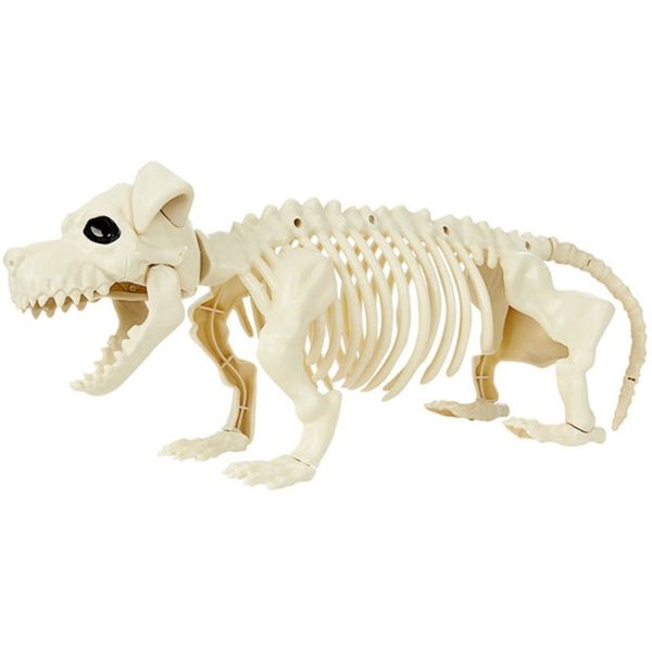 Dog Skeleton Prop.
