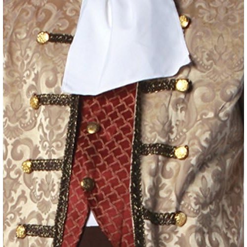 Colonial Man Adult Costume