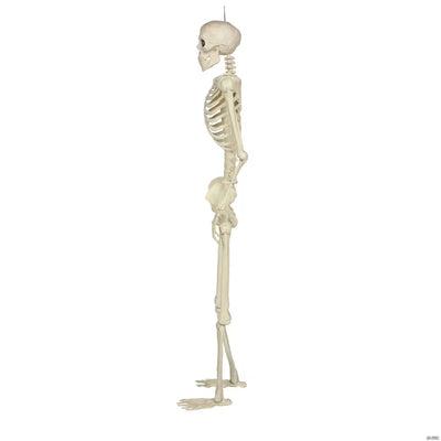 5 Ft. Hanging Multi Pose-N-Stay Life-Size Skeleton Halloween Decoration