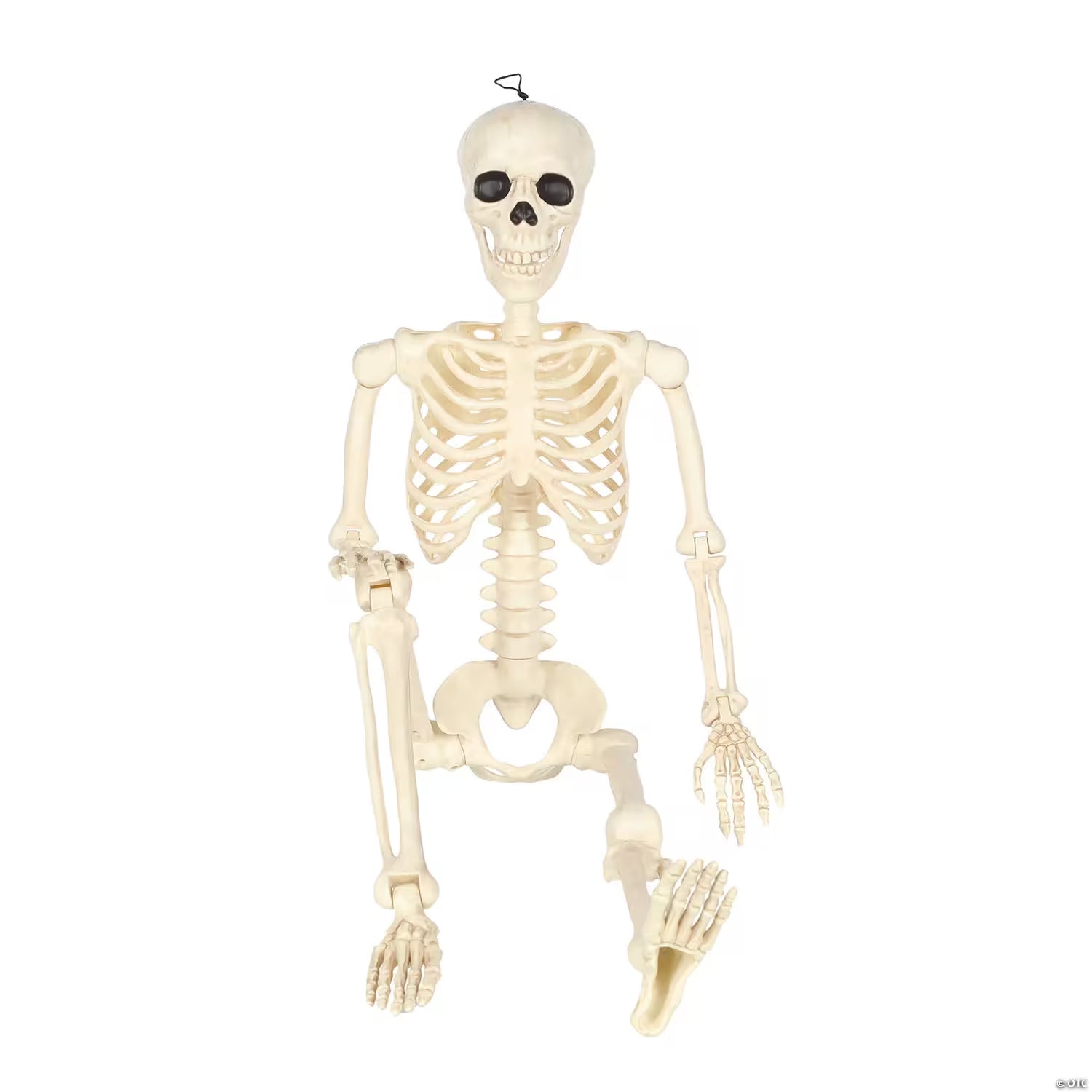 5 Ft. Hanging Multi Pose-N-Stay Life-Size Skeleton Halloween Decoration