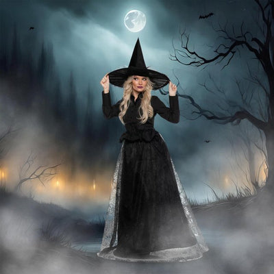 Wicked Witch Womens Costume