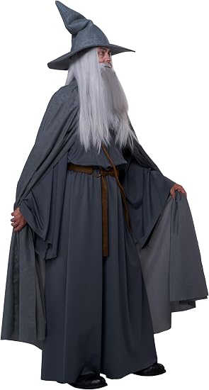Wandering Wizard Grey Adult Men's Costume