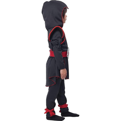 Dragon Ninja Girls Costume