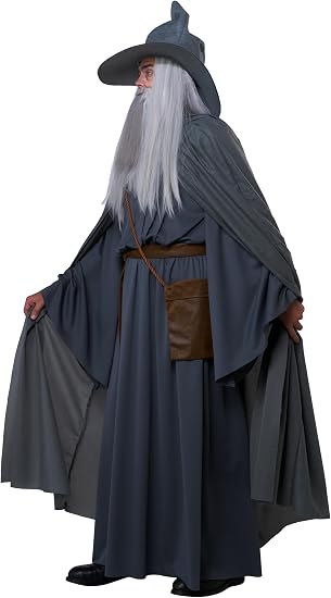 Wandering Wizard Grey Adult Men's Costume