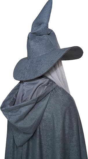 Wandering Wizard Grey Adult Men's Costume