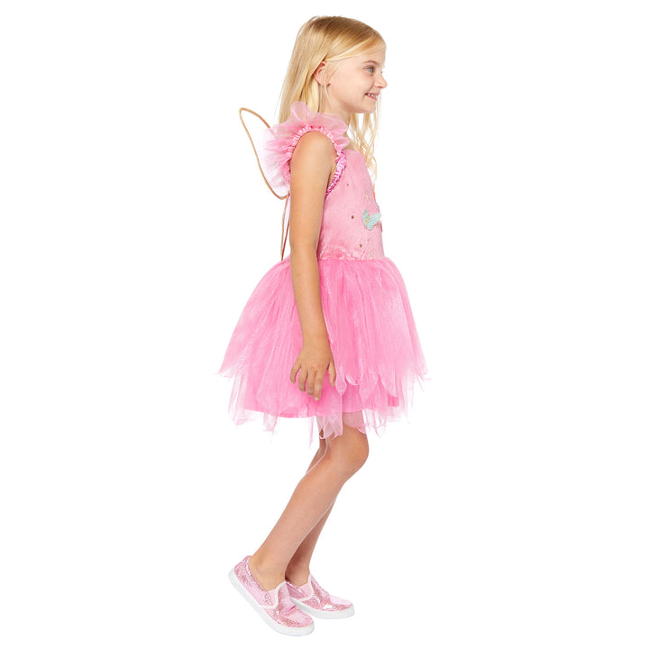 Beautiful pink dress costume with tulle skirt and fairy wings