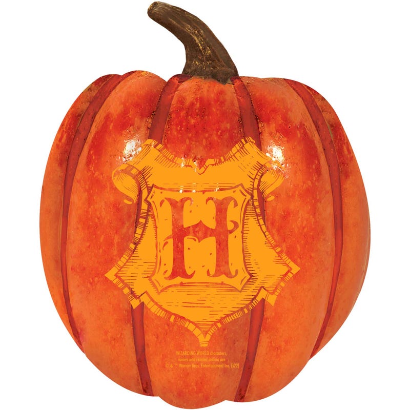 Harry Potter Halloween Foam Pumpkin Prop.