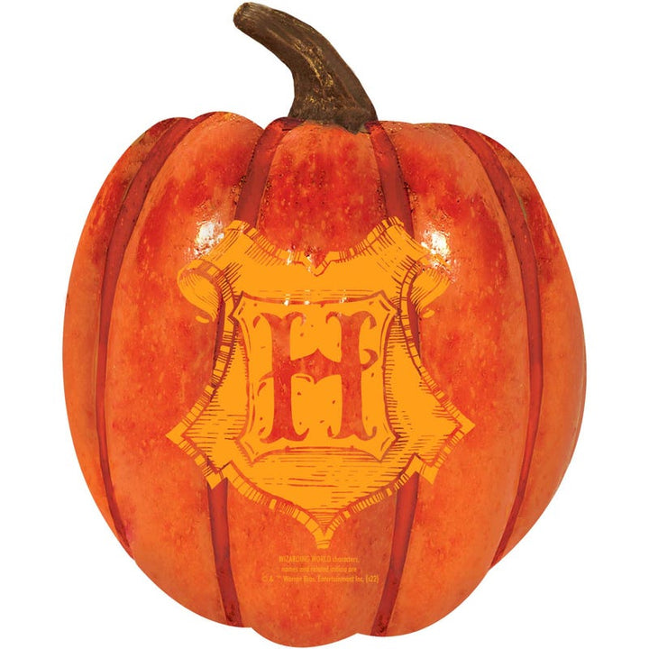 Harry Potter Halloween Foam Pumpkin Prop.