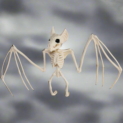 Bat Skeleton Decoration