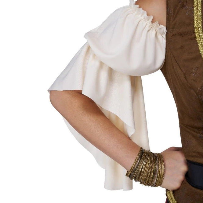 Renaissance Pirate Beauty Costume, Plus Size