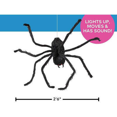 Animated Hairy Black Spider | 31 1/2" x 8 1/4"
