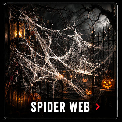 Spider Webs & Webbing