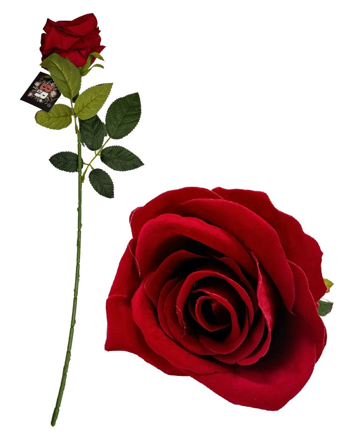 Bright Red Diamond Velvet Single Stem Rose