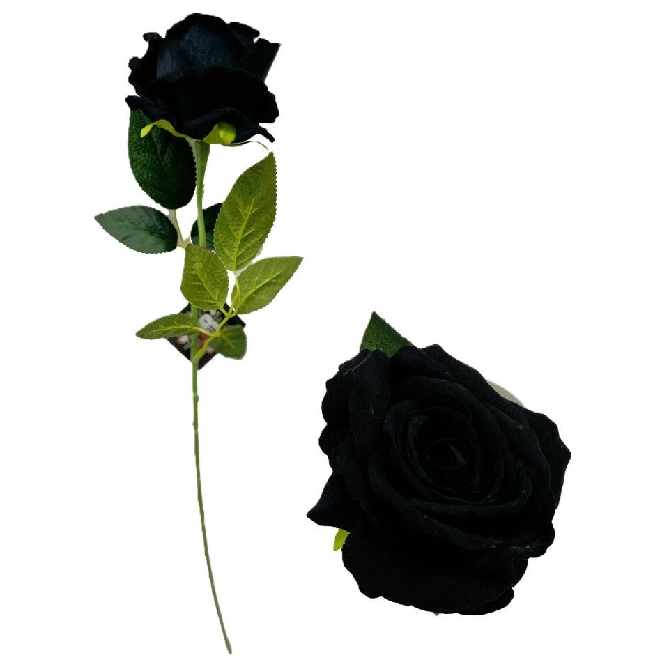 Black Diamond Velvet Single Stem Rose
