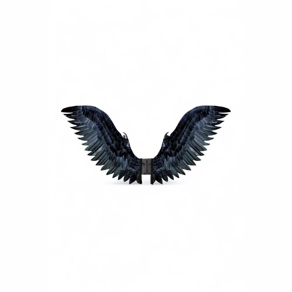 Raven Cosplay Wings